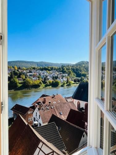 Neckarblick,Natur, Altstadt