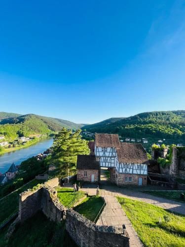 Neckarblick,Natur, Altstadt