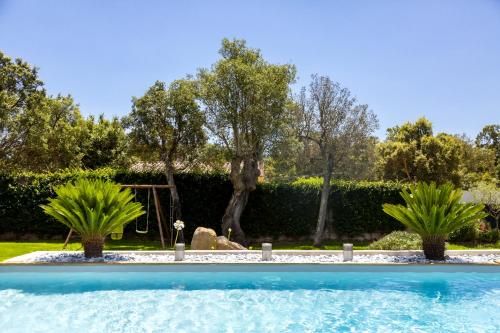 Outdoor Pictures 9