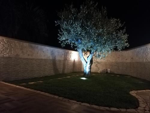 Outdoor Pictures 9