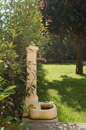 Outdoor Pictures 15