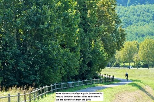 Outdoor Pictures 22