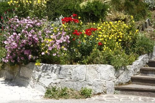 Outdoor Pictures 4