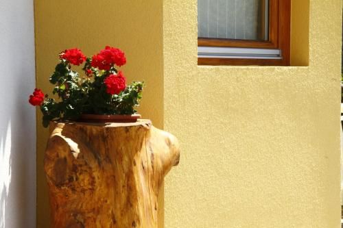 Outdoor Pictures 5