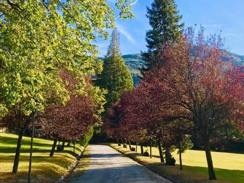 Outdoor Pictures 20
