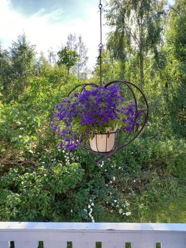 Outdoor Pictures 8