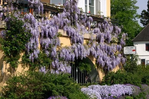 Outdoor Pictures 9
