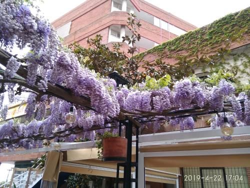 Outdoor Pictures 24
