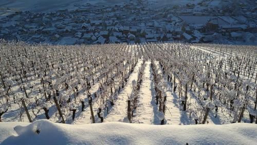 Un petit coin d’Alsace