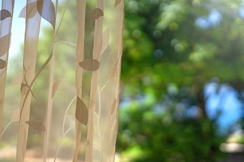 Outdoor Pictures 15