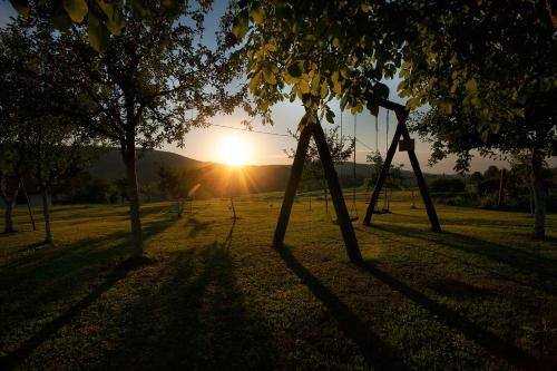 Outdoor Pictures 17