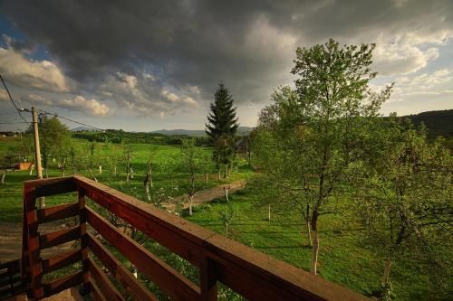 Outdoor Pictures 20