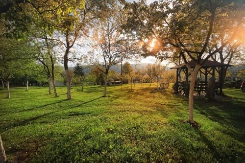 Outdoor Pictures 23