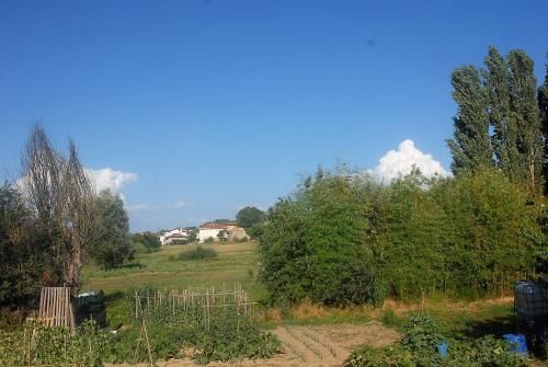 Outdoor Pictures 17