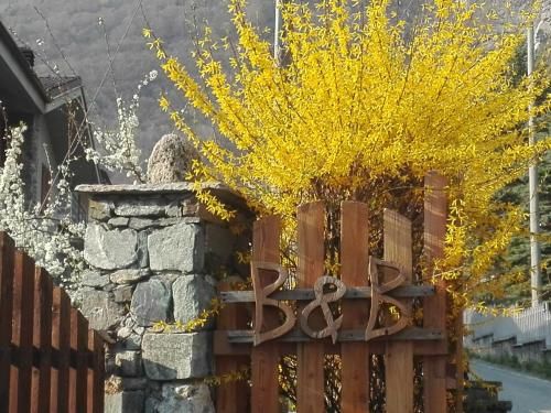 Outdoor Pictures 6