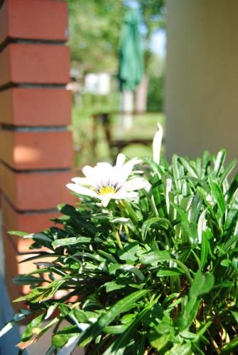 Outdoor Pictures 12