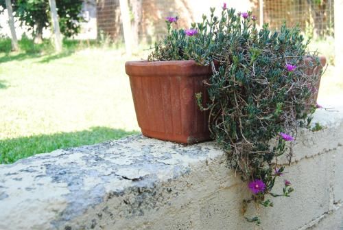 Outdoor Pictures 14
