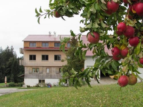 Outdoor Pictures 15