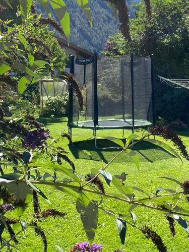 Outdoor Pictures 11