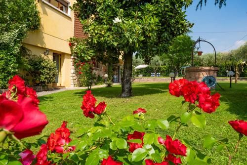 Outdoor Pictures 20