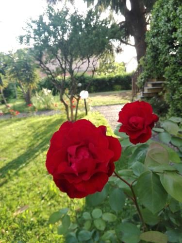 Outdoor Pictures 4