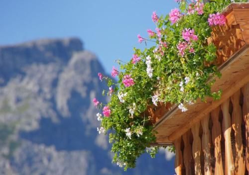 Outdoor Pictures 10