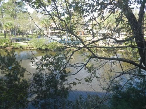 Outdoor Pictures 11