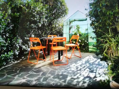 Outdoor Pictures 20