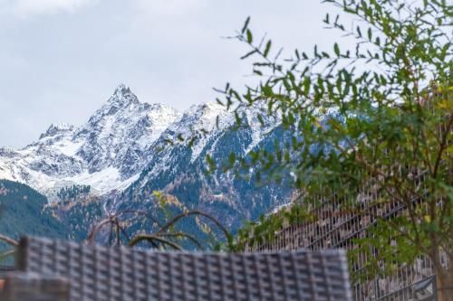 Outdoor Pictures 10