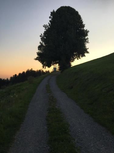 Outdoor Pictures 8
