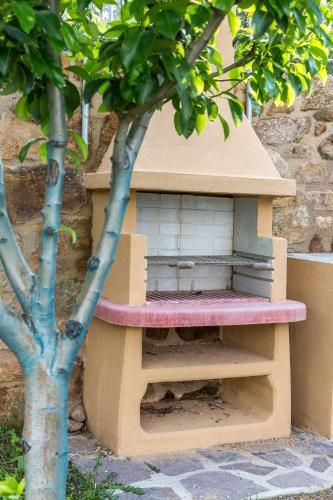 Outdoor Pictures 24