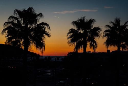 Outdoor Pictures 11