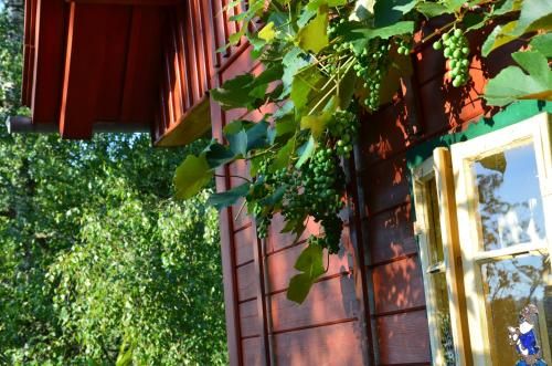 Outdoor Pictures 17