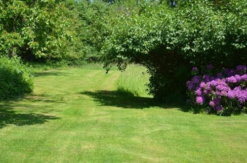 Outdoor Pictures 19