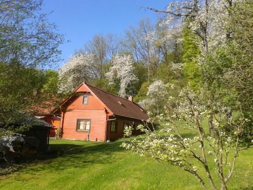 Outdoor Pictures 10