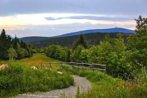 Outdoor Pictures 22