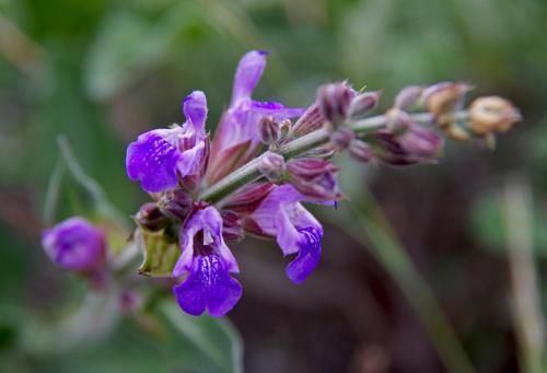 Outdoor Pictures 22