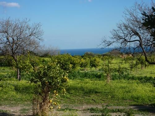 Outdoor Pictures 15