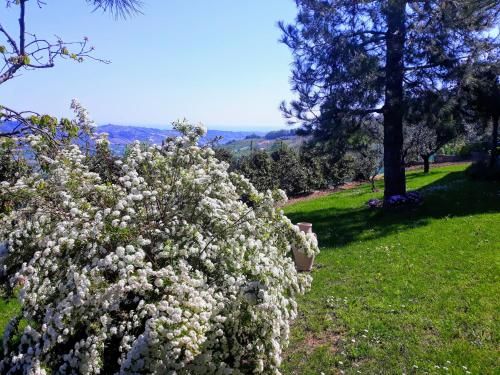 Outdoor Pictures 10