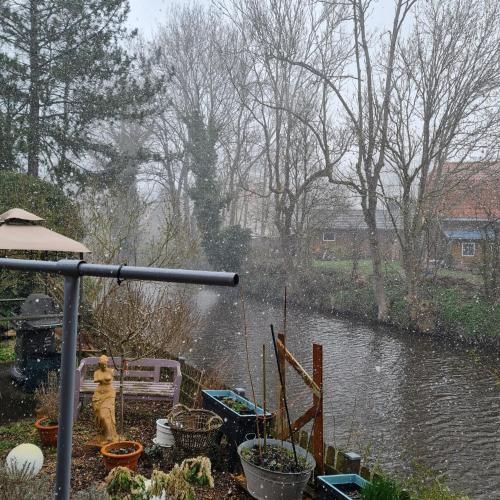 Am Kanal