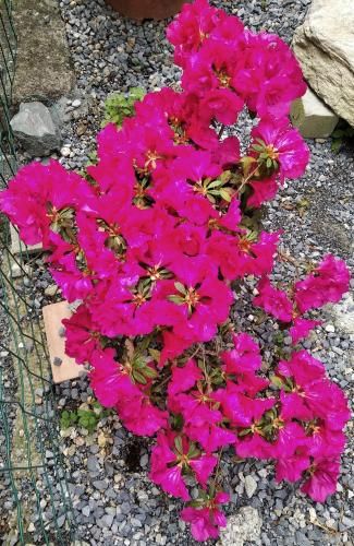 Outdoor Pictures 20