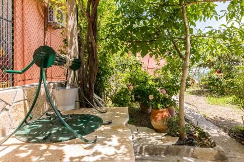 Outdoor Pictures 23