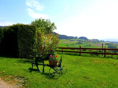 Outdoor Pictures 17
