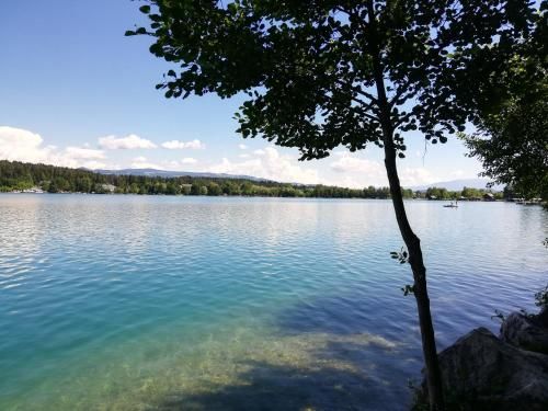 Outdoor Pictures 24