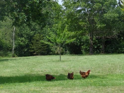 Outdoor Pictures 22