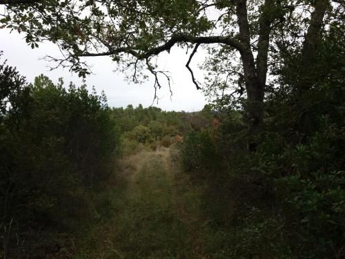 Outdoor Pictures 14