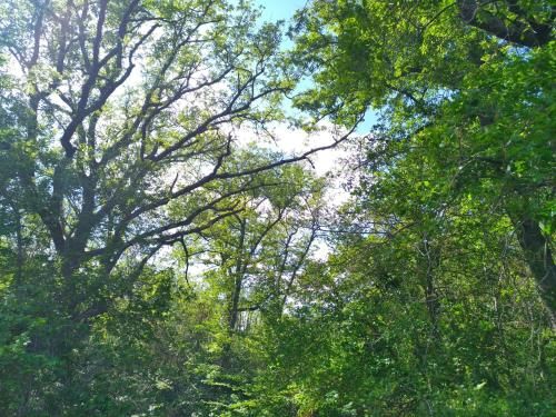 Outdoor Pictures 16