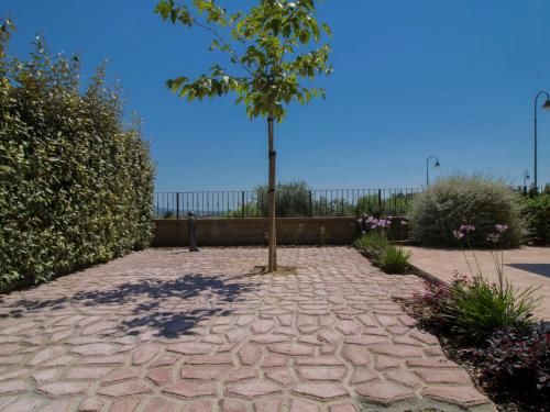 Outdoor Pictures 9
