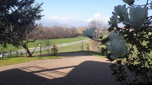 Outdoor Pictures 23