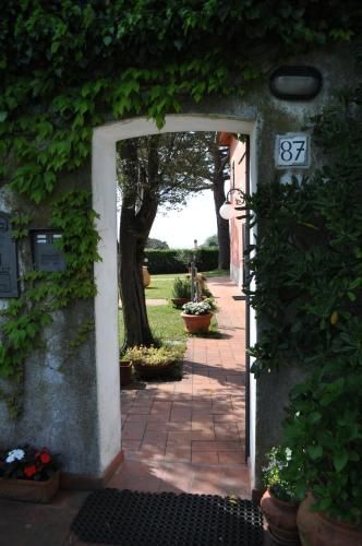 Outdoor Pictures 13